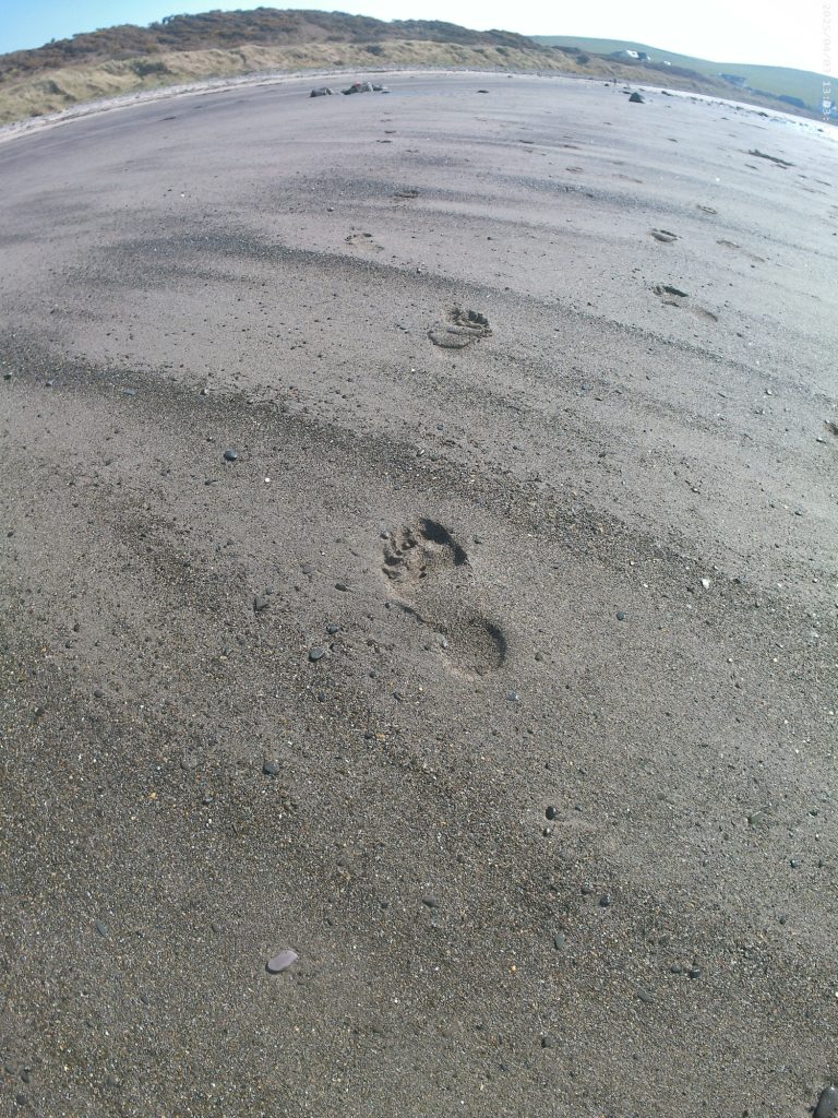 footprints