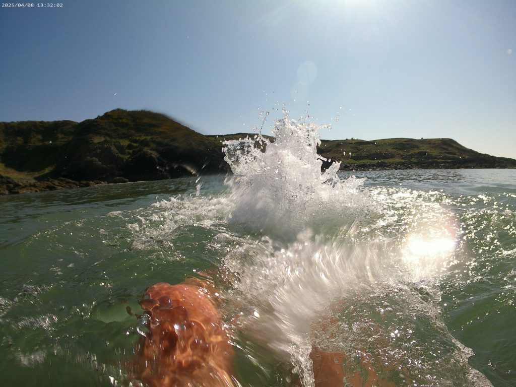swimmer