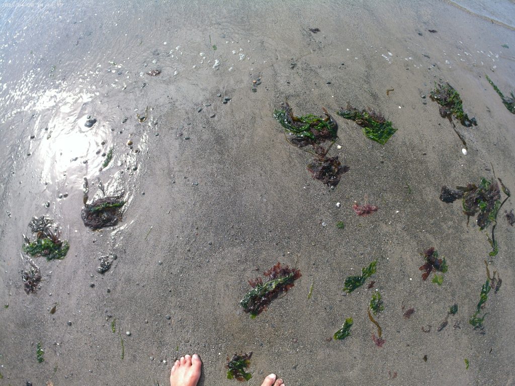 sand