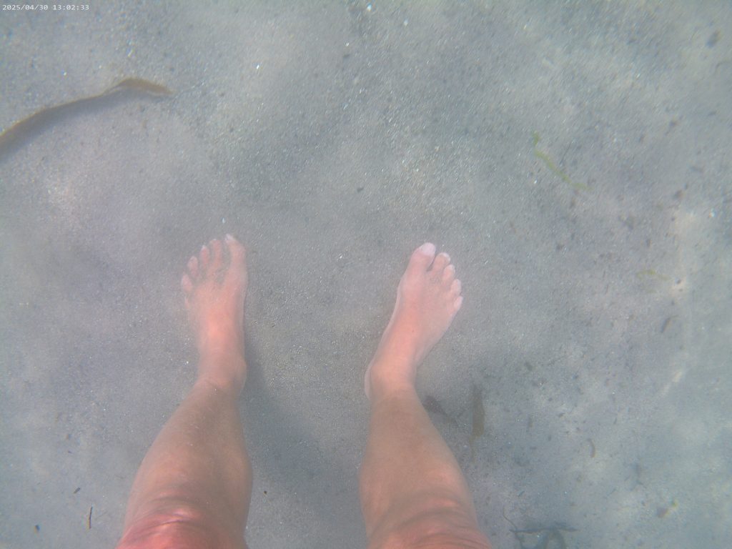 feet