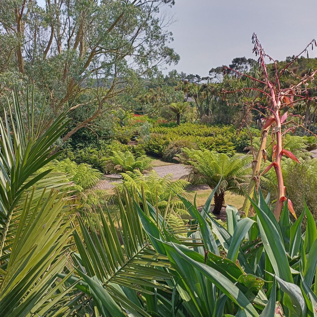 view over garden