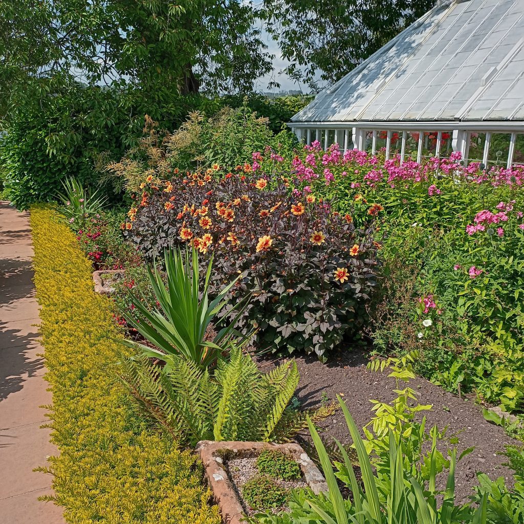 garden